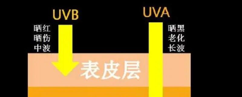 uva指的是什么（uva指的是什么紫外线）