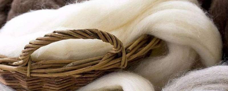wool是羊绒还是羊毛 outshell wool是羊绒吗