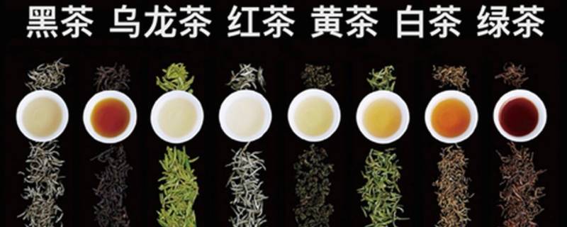 茶叶按制作原理分为哪六大类 茶叶的制作与分类