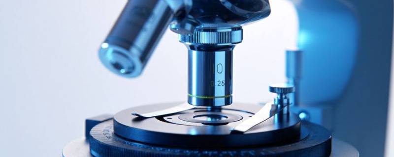 显微镜的发展史 生物学史,可以说是显微镜的发展史