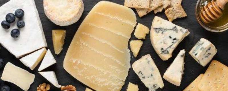 奶酪是用什么等的奶汁做成的半凝固食品
