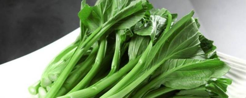 新鲜绿叶菜可以在冰箱里保存多久 新鲜绿叶菜可以在冰箱里保存多久吃