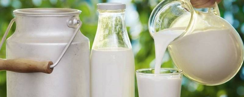 纯牛奶的产品标准代号是什么（牛奶产品标准代号区别）