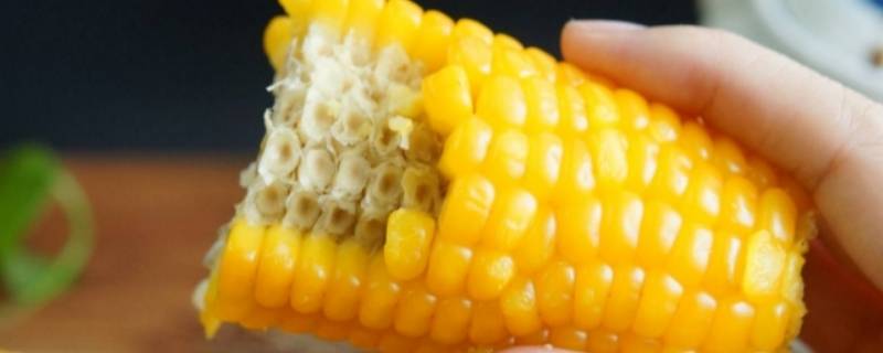 玉米是碱性食物吗 玉米是碱性食品