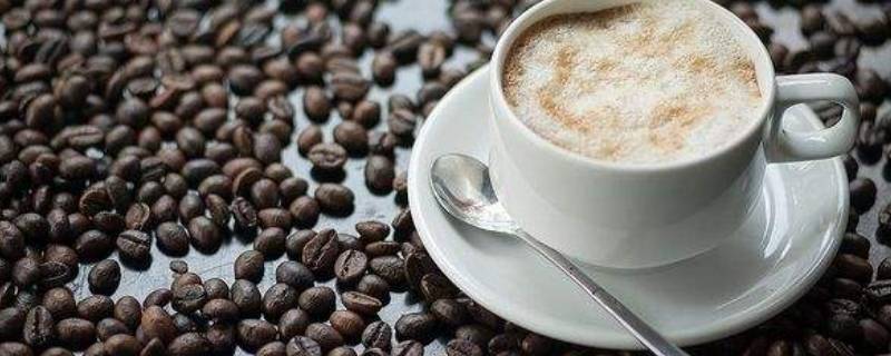 麦咖啡的咖啡豆是什么品种 咖啡豆的品种和产地