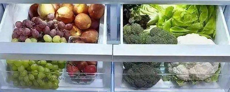 冬天菜需要放冰箱吗 冬天菜放冰箱还是放外面