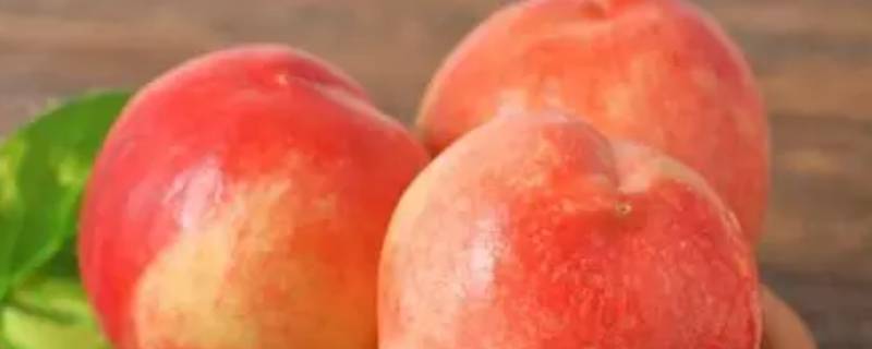 桃是凉性的还是热性的水果 桃子是凉性的还是热性的水果