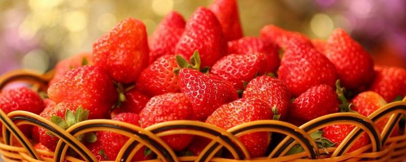 草莓应该以怎样的方式清洗蚂蚁（草莓怎样防蚂蚁）