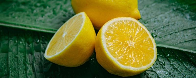 柠檬是水果吗（柠檬是水果嘛）