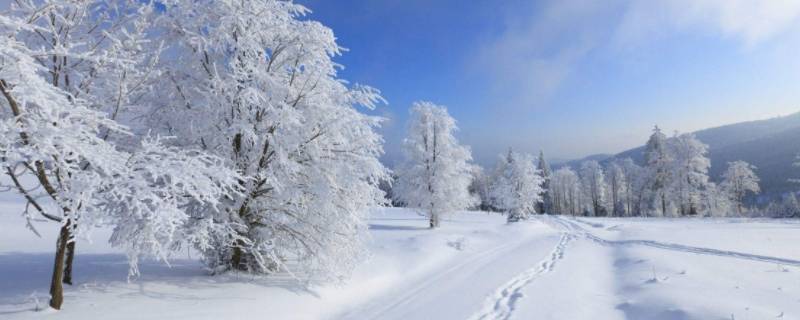 为什么不下雪（东南亚为什么不下雪）