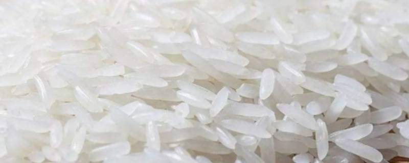 干拌饭的米是什么米 拌饭用的什么米