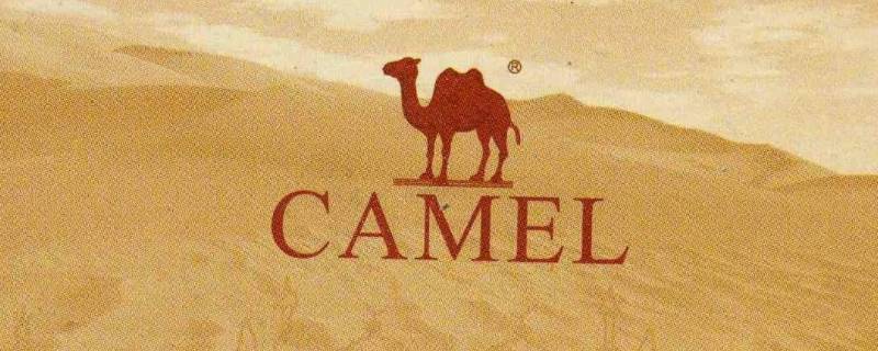 骆驼商标有几种 骆驼商标是什么牌子