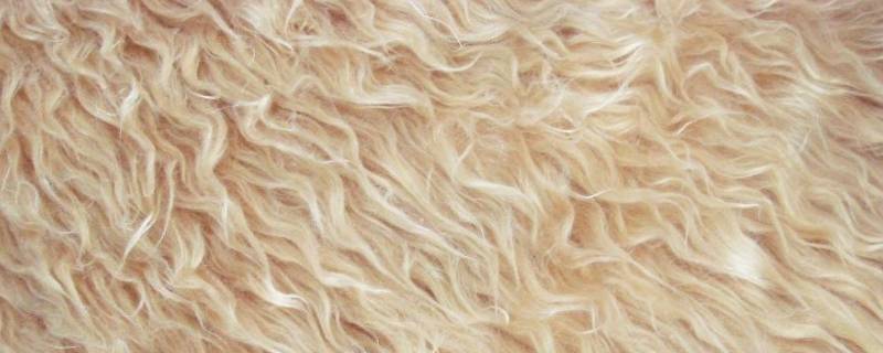 火烧羊毛和人造毛的区别 烧羊毛和其他的区别
