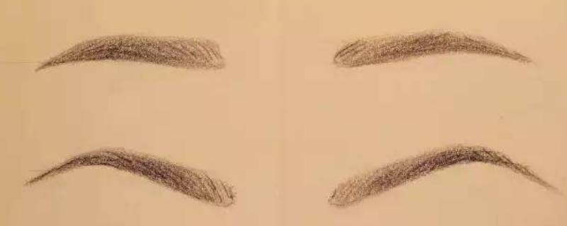 眉梢是哪个部位 眉头和眉梢的位置