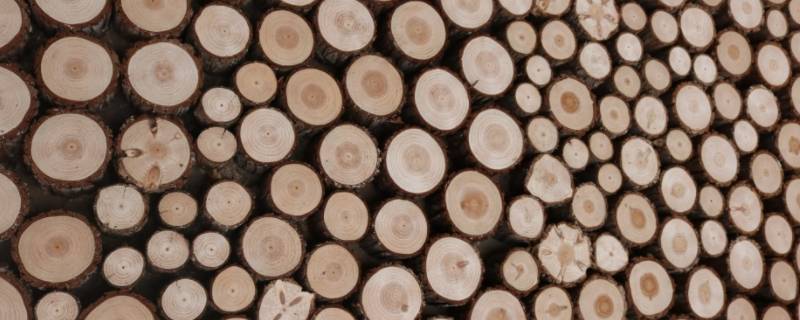 木头密度（木头密度大还是水密度大）