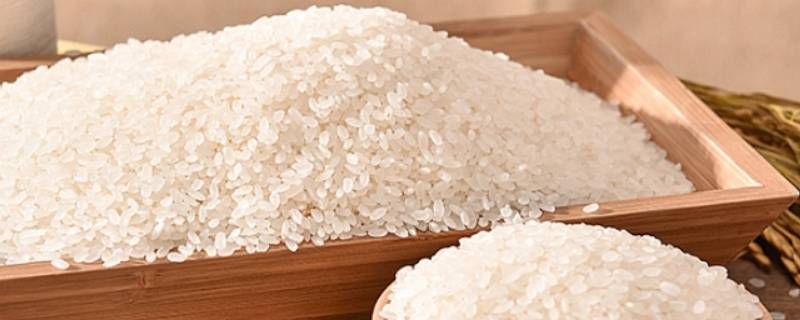 早米和晚米的区别 早米和晚米的区别图片