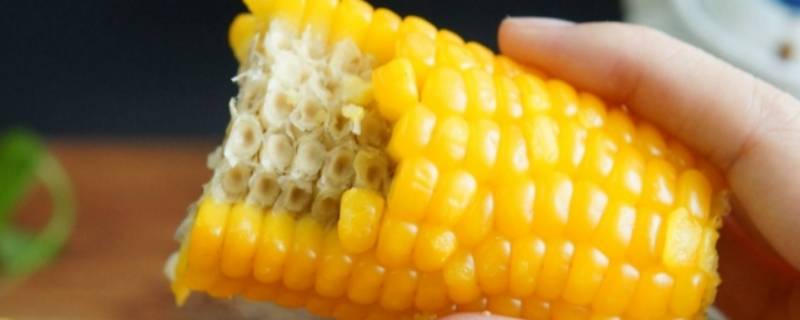 玉米是优质碳水吗 玉米算是优质碳水吗