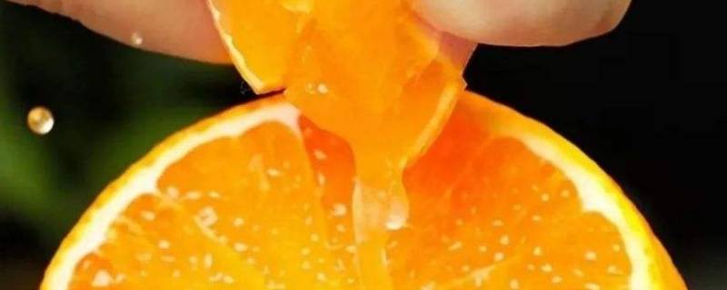 果冻橙是软的吗 果冻橙是什么样的