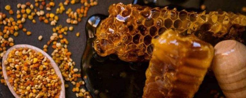 什么是蜂胶（什么是蜂胶,蜂胶是蜂王浆吗）