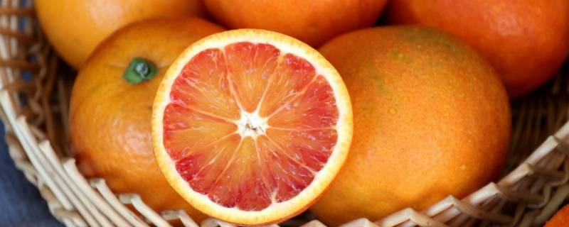 雪橙和血橙的区别（血橙和红橙的区别）