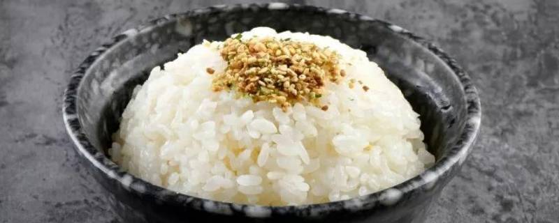 米饭冰箱里能放多久 米饭可以放冰箱里多久