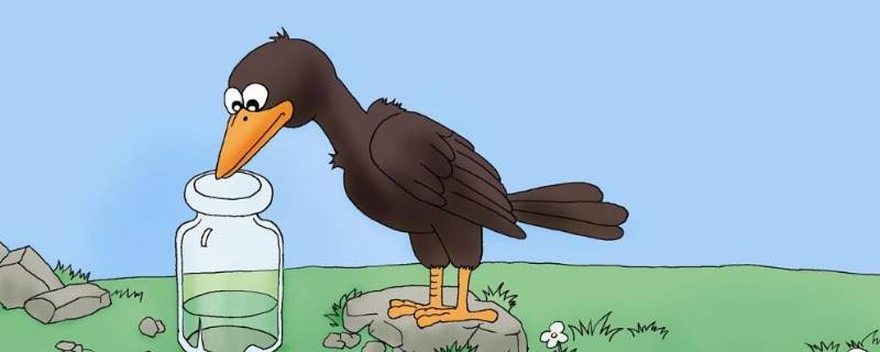 乌鸦喝水有几种方法能喝到水（乌鸦喝水有几种方法能喝到水有沙和木头 纸张和玉米粒）