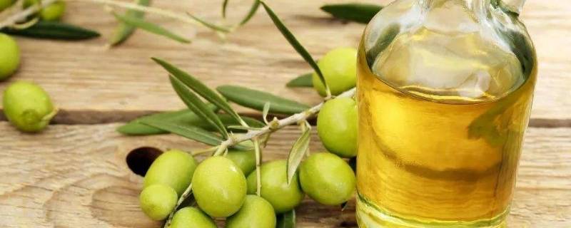 精炼橄榄油与初榨橄榄油的区别 精炼橄榄油和初榨橄榄油的区别