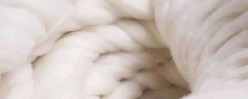 羊绒和山羊绒有什么区别啊（山羊绒和羊羔绒的区别）