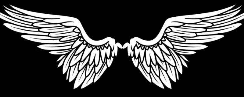 翅膀的寓意和象征 翅膀的寓意和象征的词语
