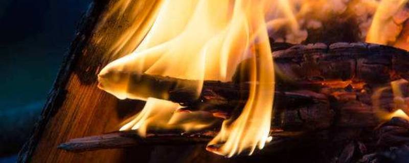 普通木头能烧烤吗 木头可以用来烧烤吗