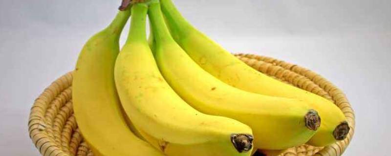 香蕉是什么（香蕉是什么季节的水果）