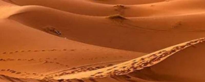 沙漠的沙子为什么不能用 沙漠的沙子为什么不能用作建筑