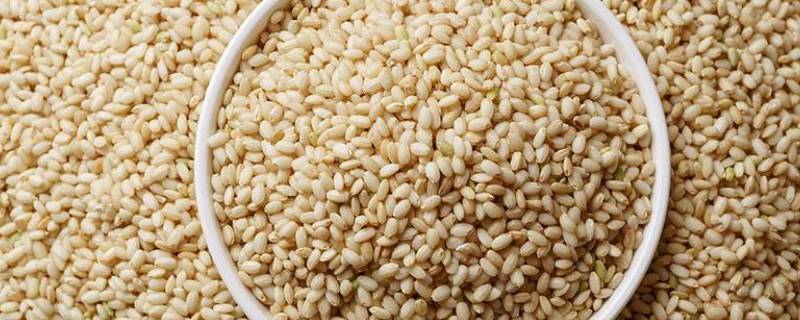 什么是糙米（什么是糙米饭怎么做）