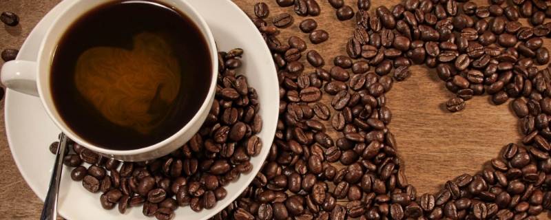 咖啡一般是从哪种植物中提炼出来的（咖啡一般是从哪种植物中提炼出来的答案）