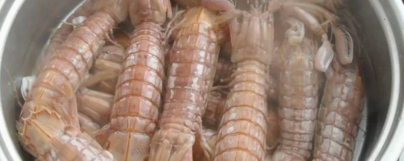 濑尿虾白灼煮多少分钟（白灼濑尿虾的做法窍门）