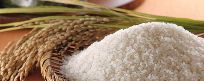 大米生产标准 大米生产标准1354