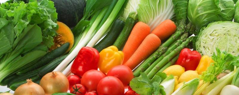 蔬菜中的水分占多少 蔬菜有多少水分