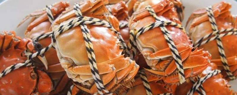 螃蟹肉像豆腐渣什么原因 螃蟹煮熟后肉像豆腐怎么回事
