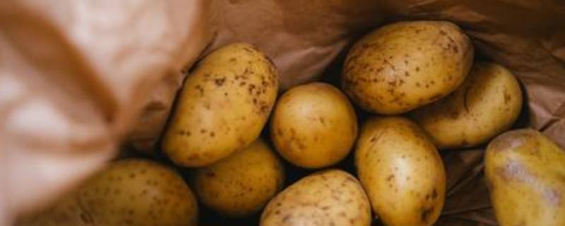 土豆有几种叫法 土豆有哪几种叫法