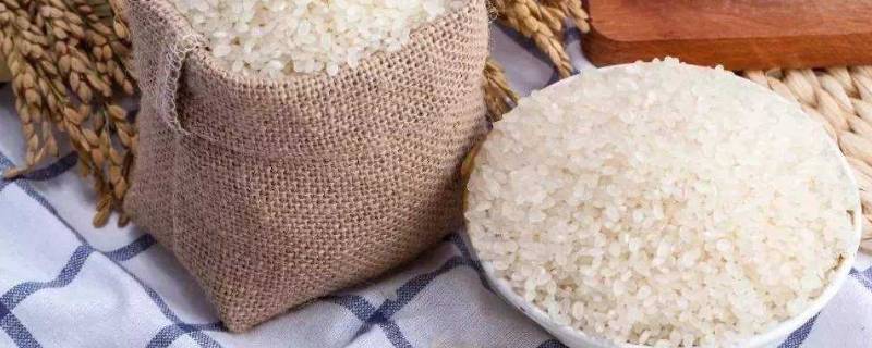 大米存放环境要求 大米储存条件及相应措施