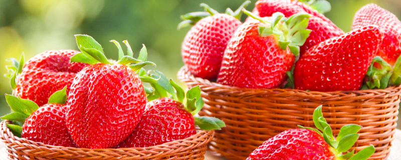 草莓的特点怎么描述 草莓的特点怎么描述幼儿园