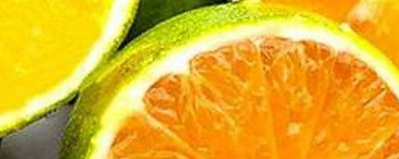 绿色的橙子是什么品种 橙子有几种品种