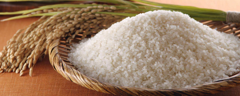 梗米跟大米有什么区别吗（梗米跟大米有啥区别）