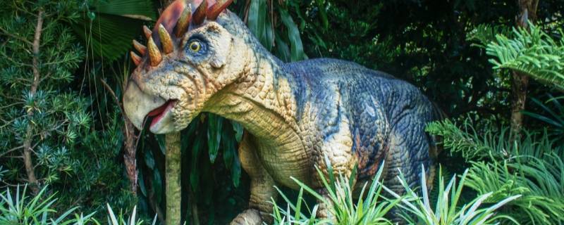 爬行类的恐龙主要生活在什么年代（爬行类的恐龙主要生活在什么年代中）
