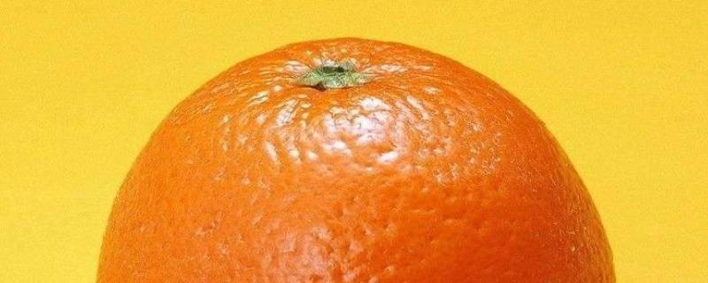 橙色代表什么寓意和象征意义 橙色的寓意和象征