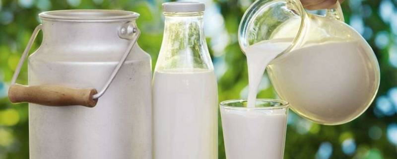 生牛乳和纯牛奶有什么区别（纯牛乳和生牛乳有什么区别?）