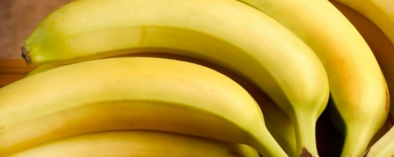 香蕉是水果吗（香蕉是水果吗?）