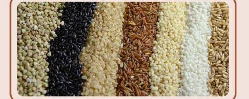 七色糙米都有什么米（七色糙米都有什么米怎么配比）