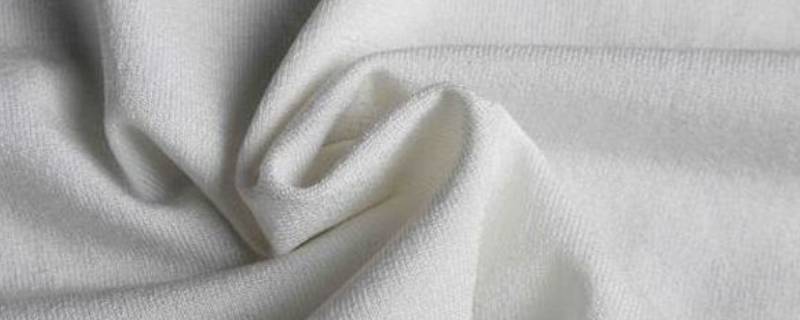 棉纶属于什么类型的纤维（棉纤维属于什么纤维）