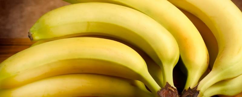 现在吃的黄色香蕉怎么来的 现在吃的黄色香蕉怎么来的蚂蚁庄园优选优育